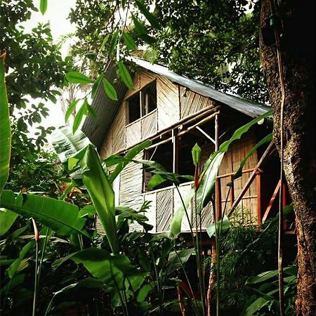 Bambu Hostel David Eksteriør billede