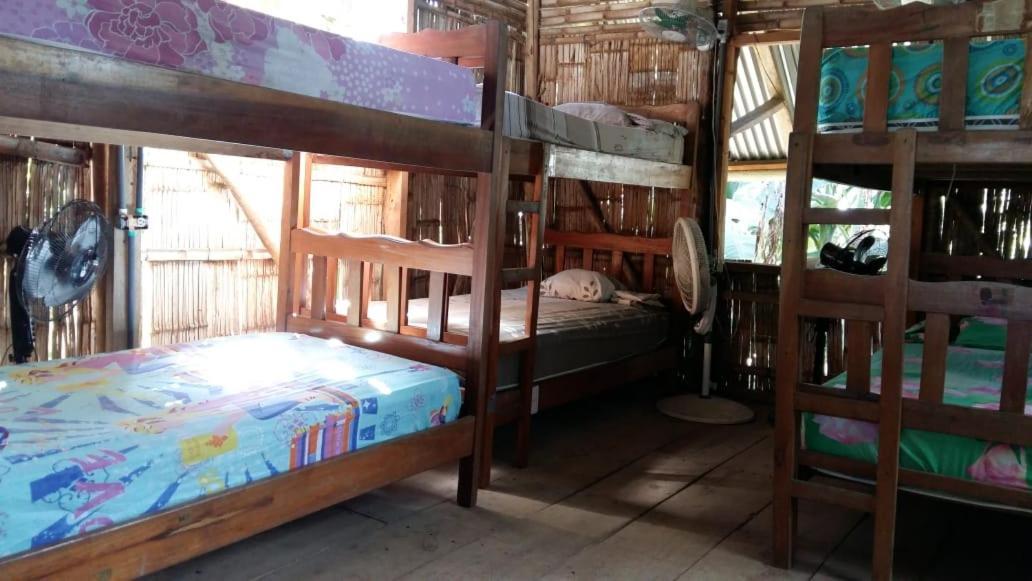 Bambu Hostel David Eksteriør billede
