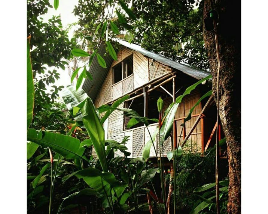 Bambu Hostel David Eksteriør billede